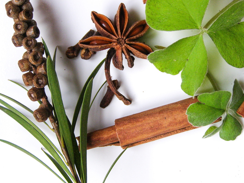 star anise, november, still life, no people, nature, leaf, food and drink, freshness, food, leaves, 2K, cinnamon, design, plant, plant part, autumnal