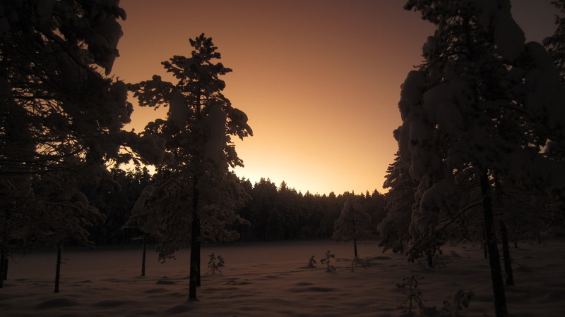 photography, environment, sky, clear sky, water, nature, fir-tree, plant, dusk, tranquility, snow, forest, plants, beauty in nature, trees, 2K, tranquil scene