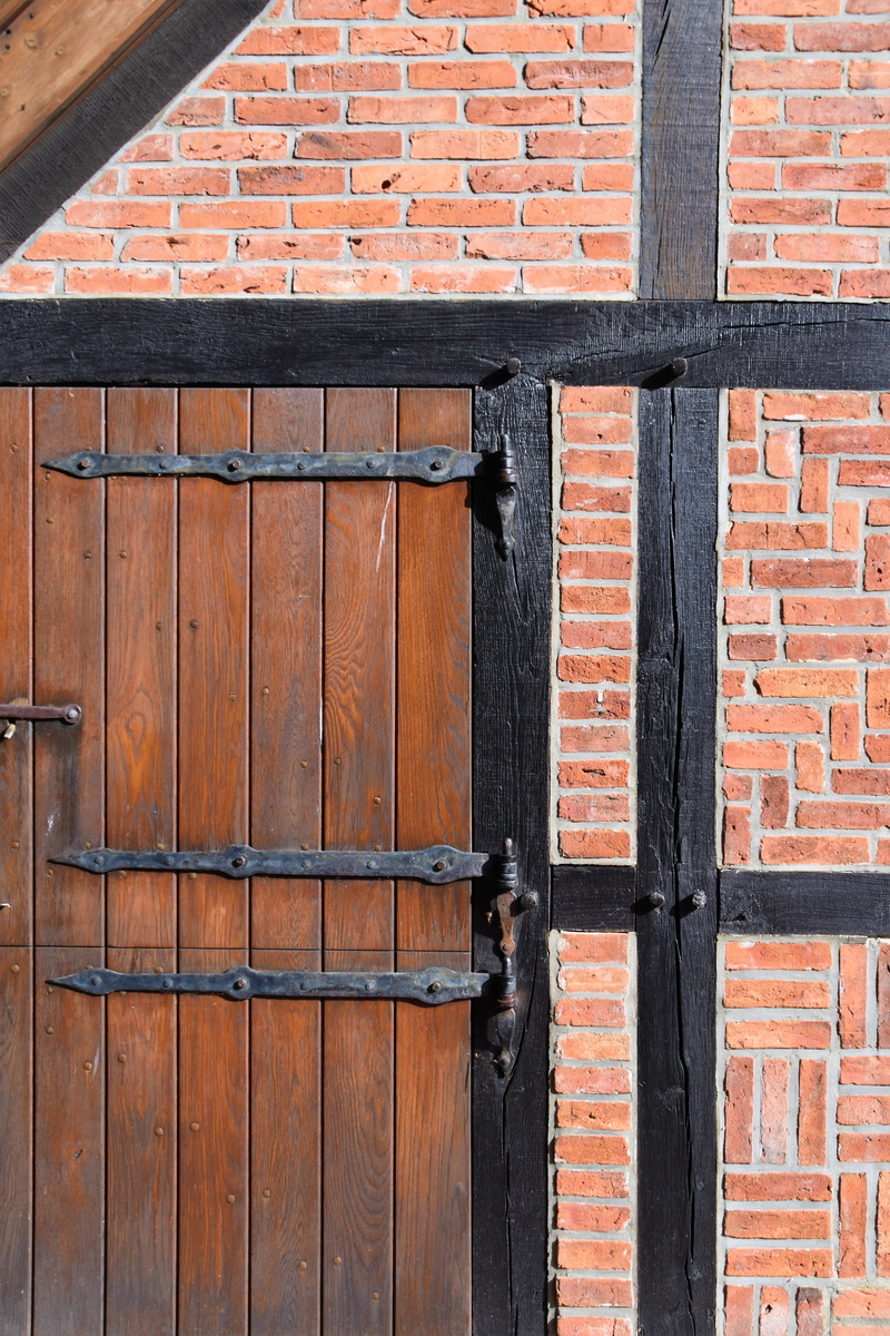security, outdoors, gate, latch, historic building, structure, brown, domestic animals, prison, cat, built structure, langes tannen, animal themes
