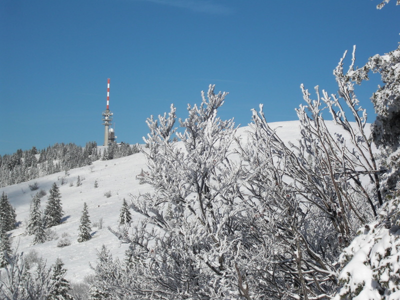 blue, land, low angle view, feldberg, day, no people, winter, wintry, outdoors, mountain, cold temperature, beauty in nature, plant, clear sky, 1080P
