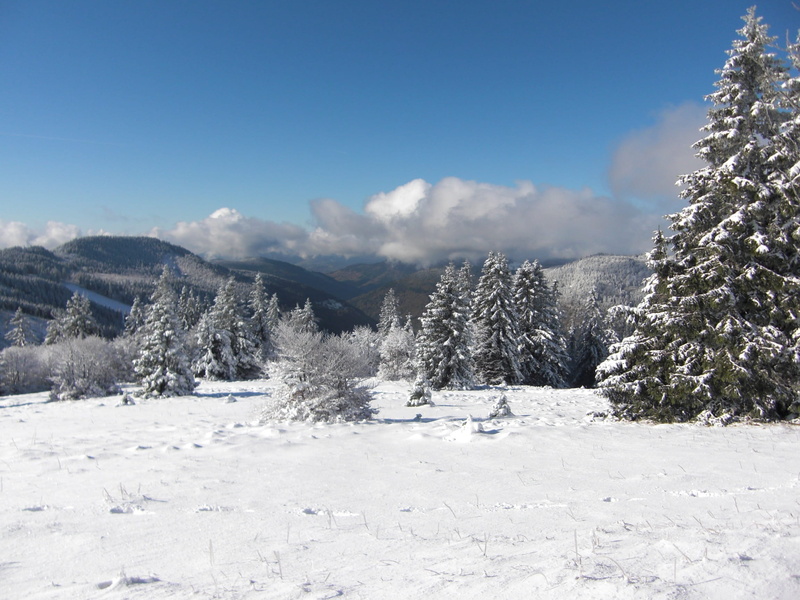 cloud - sky, plant, no people, snowcapped mountain, Snow, feldberg, outdoors, tranquility, tree, tranquil scene, nature, coniferous tree, non-urban scene