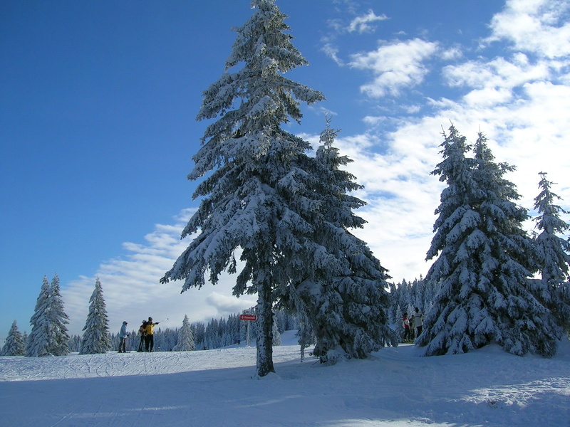 sky, pine tree, non-urban scene, land, 1080P, outdoors, snowcapped mountain, Feldberg, ski, tranquility, Winter, human, landscape, plant, real people