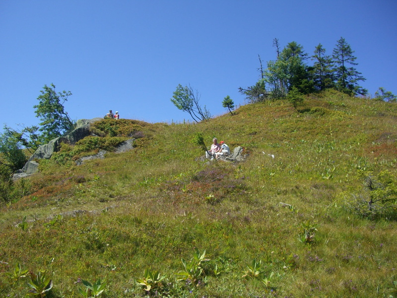 tranquil scene, green color, sky, plant, feldberg, men, grass, outdoors, leisure activity, adult, clear sky, environment, 1080P, tree, nature, day, picnic