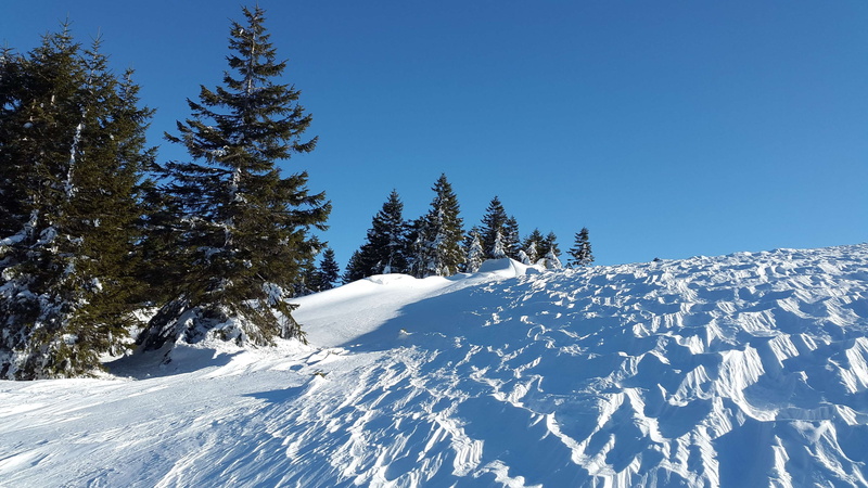 tree, non-urban scene, coniferous tree, no people, wind gangeln, white color, cold temperature, mountain peak, plant, mountains, sky, snow, clear sky, forest
