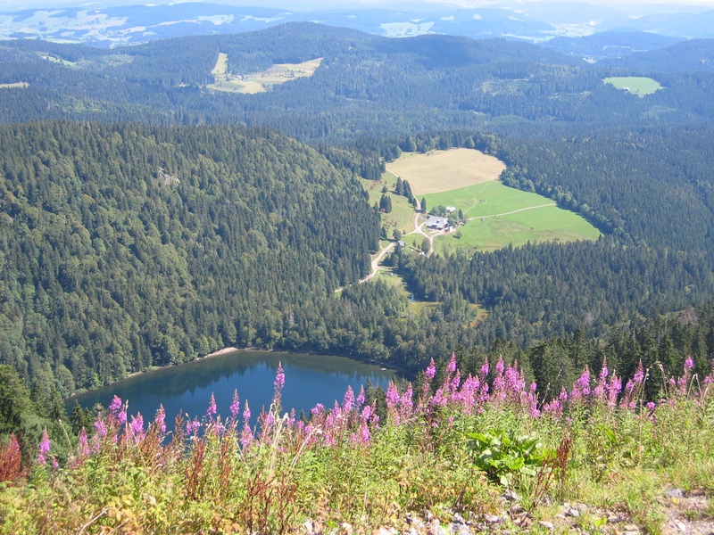 non-urban scene, wide, beauty in nature, landscape, view, mountain range, environment, nature, outlook, hike, flowering plant, lake, flower, bergsee, scenics - nature