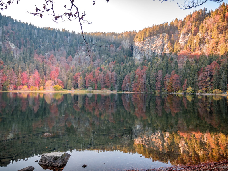 feldberg, outdoors, background, inject, reflections, coniferous tree, island, mirroring, sky, scenics - nature, summer, water, autumn collection, holidays