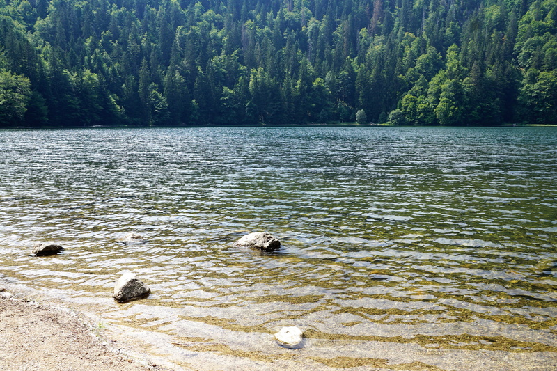rest, scenics - nature, day, waterfront, hill, germany, alaska, 5K, resort, forest, non-urban scene, stones, lake, animal, freiburg, tranquil scene, away