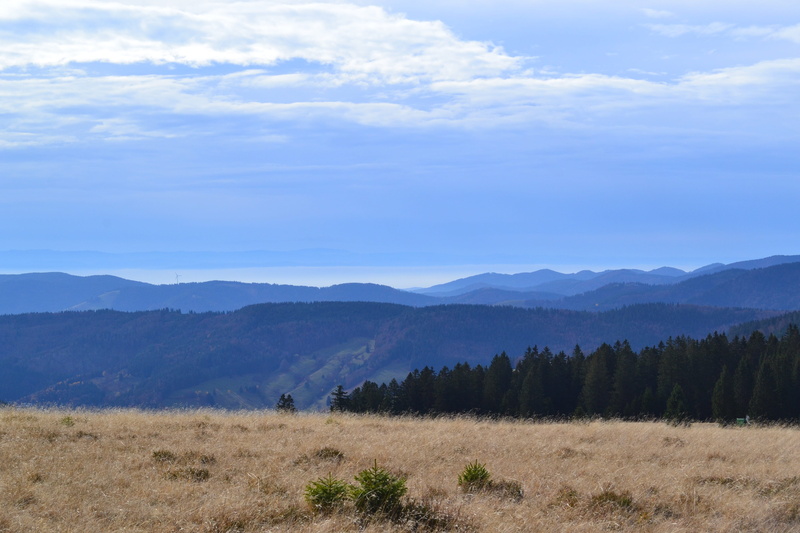scenics, outdoors, mountain, land, View, cloud - sky, Black Forest, day, beauty in nature, tranquil scene, sky, scenics - nature, landscape, Feldberg, non-urban scene