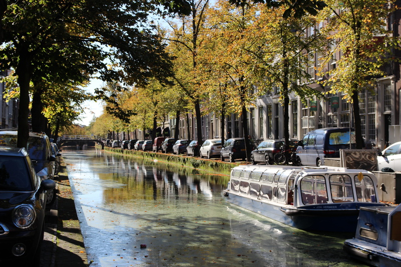 city, town, rain, mode of transportation, street scene, rainy season, nature, treelined, motor vehicle, tourism, Canal Boat, day, Delft, Water, tree, reflection