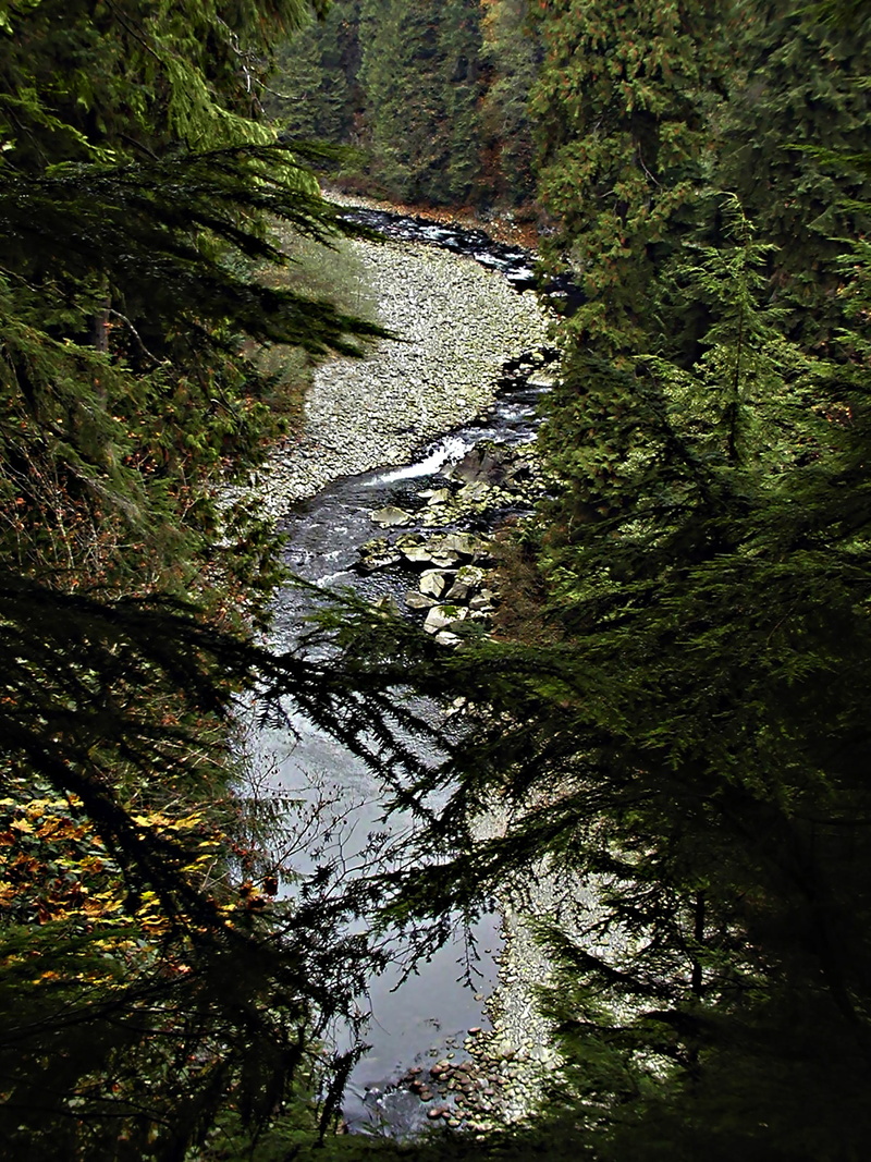 reflection, day, flowing, river, water, tranquil scene, beauty in nature, flowing water, vancouver, high angle view, scenics - nature, rainforest, land