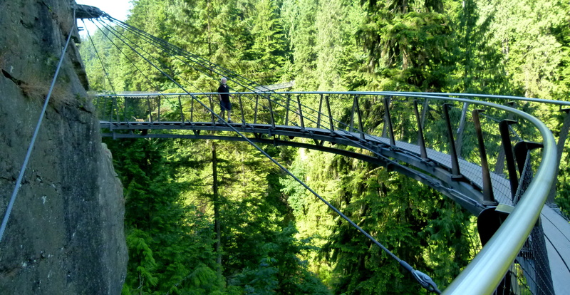 boundary, connection, day, no people, tree, safety, nature, protection, barrier, architecture, capilano, metal, vancouver, bridge, trees, cliffwalk, 4K