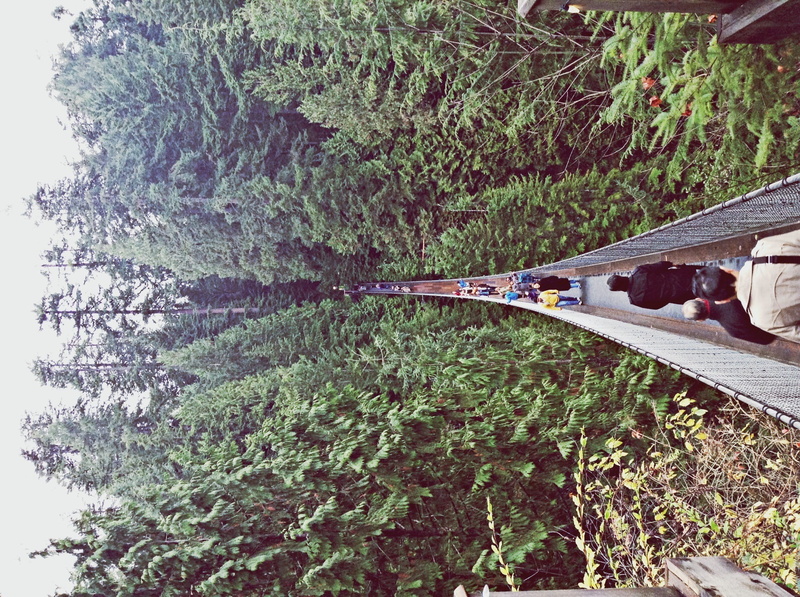 nature, green color, unrecognizable person, lake, tranquility, beauty, growth, real people, west vancouver, forest, beauty in nature, 1080P, capilano suspension bridge