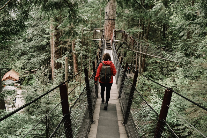 walk, west vancouver, one person, bridge - man made structure, plant, woodland, nature, british columbia, outdoors, steps and staircases, land, bridge