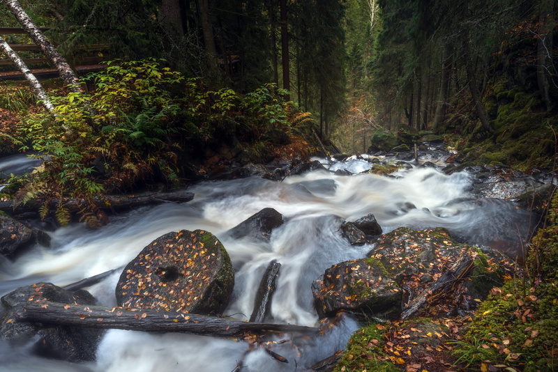 water, games, art, px, video, hd, long exposure, bioshock, river, exposure, forest, nature, long, x, 2560x1709 px, 2K