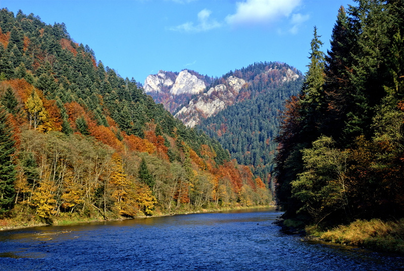 tranquil scene, water, colors, tourism, nature, no people, scenics, autumn leaves, mountain, tree, beach, plant, tranquility, foliage, mountain range, forest