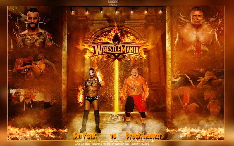 fighting, brock, lesner, wwe, 1080P, wrestling