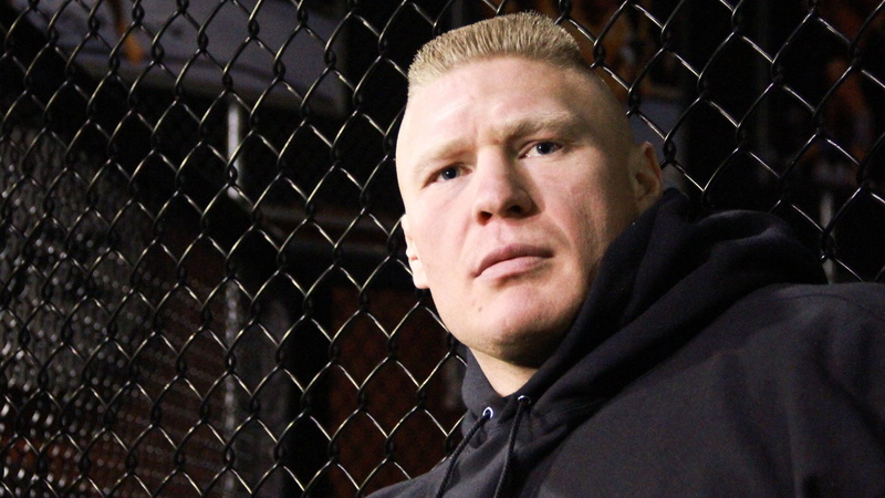 fighting, lesner, 1080P, martial, ufc, mma, brock
