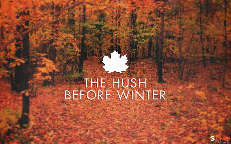 nature and landscapes, winter, hush, before, 1080P