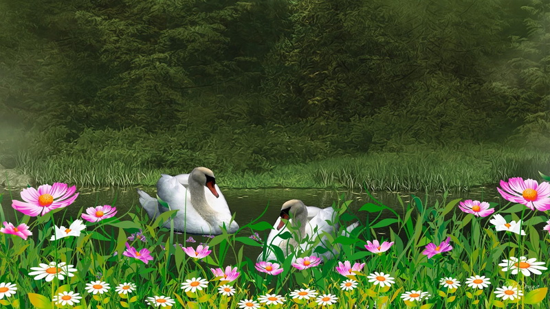 calm, still, soundless, flowers, ultraquiet, muffled, muted, 1080P, tranquil, wildflower, green, hushed, pond, quiescent