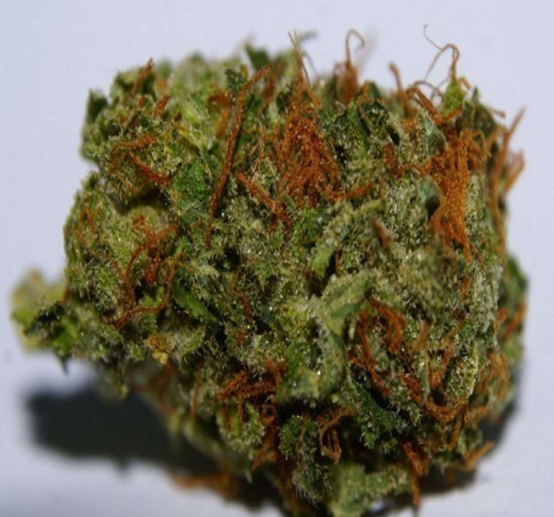 food and drink, focus on foreground, marijuana - herbal cannabis, plant, studio shot, 1080P, green color, herb, healthy eating, nature, cannabis plant