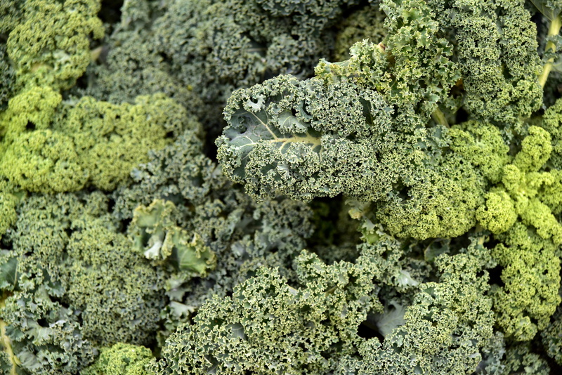 5K, kohl, vegetables, close-up, kale, marijuana - herbal cannabis, medical cannabis, nature, full frame, food, pattern, food and drink, cook, green color