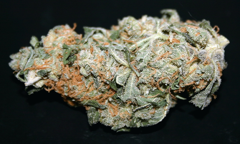 indoors, narcotic, black background, single object, 1080P, healthcare and medicine, marijuana - herbal cannabis, solution, food, studio shot, cannabis plant