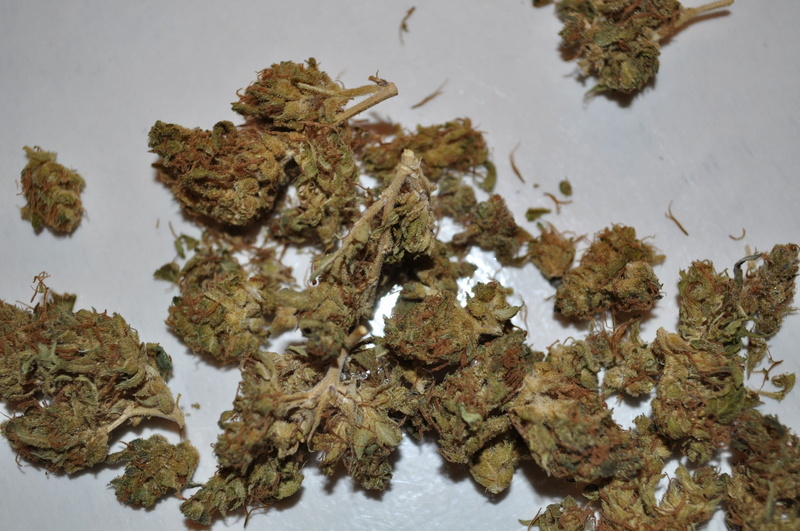 social issues, food, nature, plant, growth, marijuana pretty picture background, plant part, 1080P, marijuana - herbal cannabis, beauty in nature, water