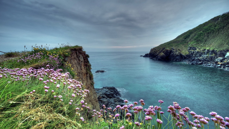 sea, cloud - sky, no people, mountain, plant, sky, nature, tranquility, outdoors, water, day, beauty in nature, flowering plant, coolest pictures ever of nature 2560x1440
