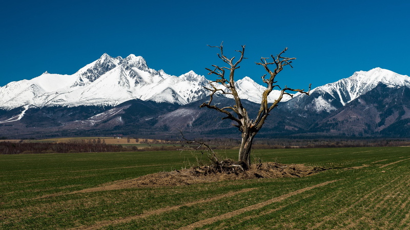 mountain range, scenics - nature, outdoors, mountain, landscape, mountain peak, winter, tranquility, coolest pictures ever of nature 2560x1440, land, environment
