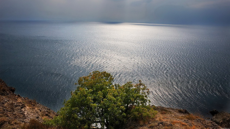 non-urban scene, high angle view, idyllic, 2K, day, nature, sea, tree, tranquil scene, sky, tranquility, beach, no people, water, coolest pictures ever of nature 2560x1440