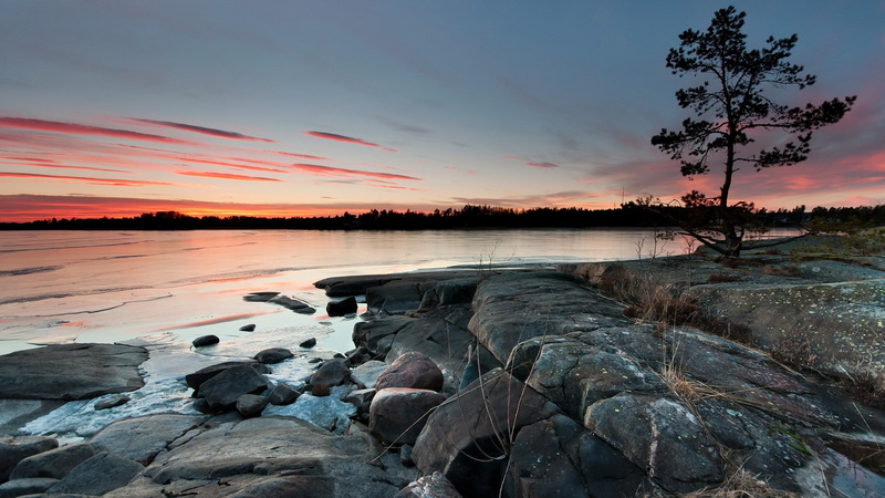 2K, coolest pictures ever of nature 2560x1440