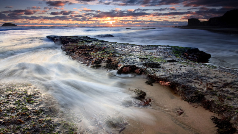 2K, coolest pictures ever of nature 2560x1440