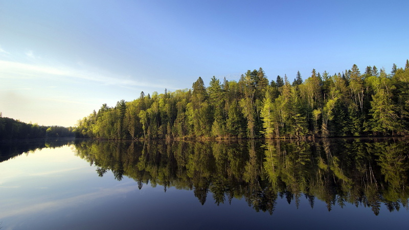 non-urban scene, sky, no people, tree, growth, 2K, nature, coolest pictures ever of nature 2560x1440, water, plant, green color, waterfront, tranquil scene