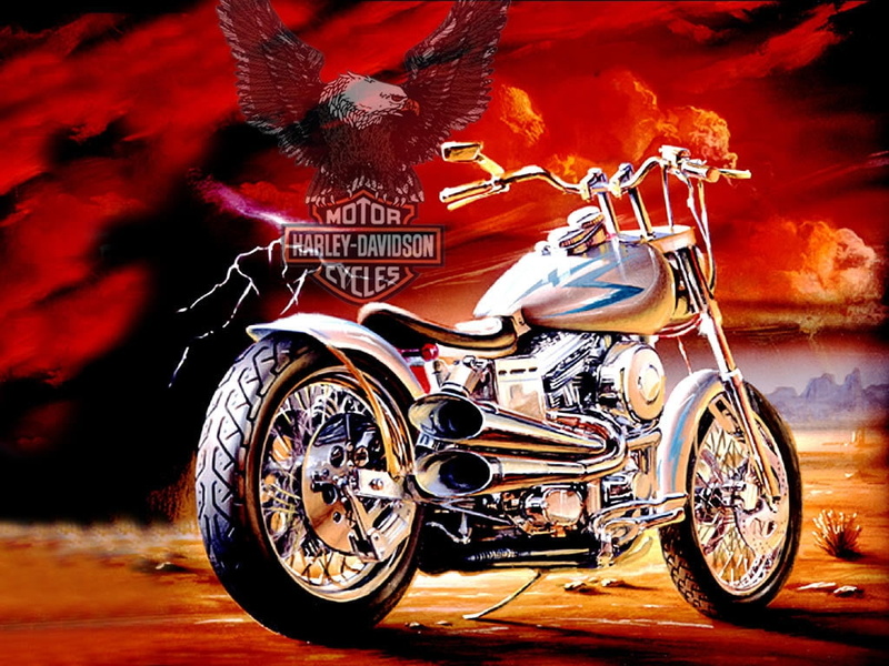 motorcycles, walls, bike, harley, art, x, 480P, style, anyone, davidson, hd
