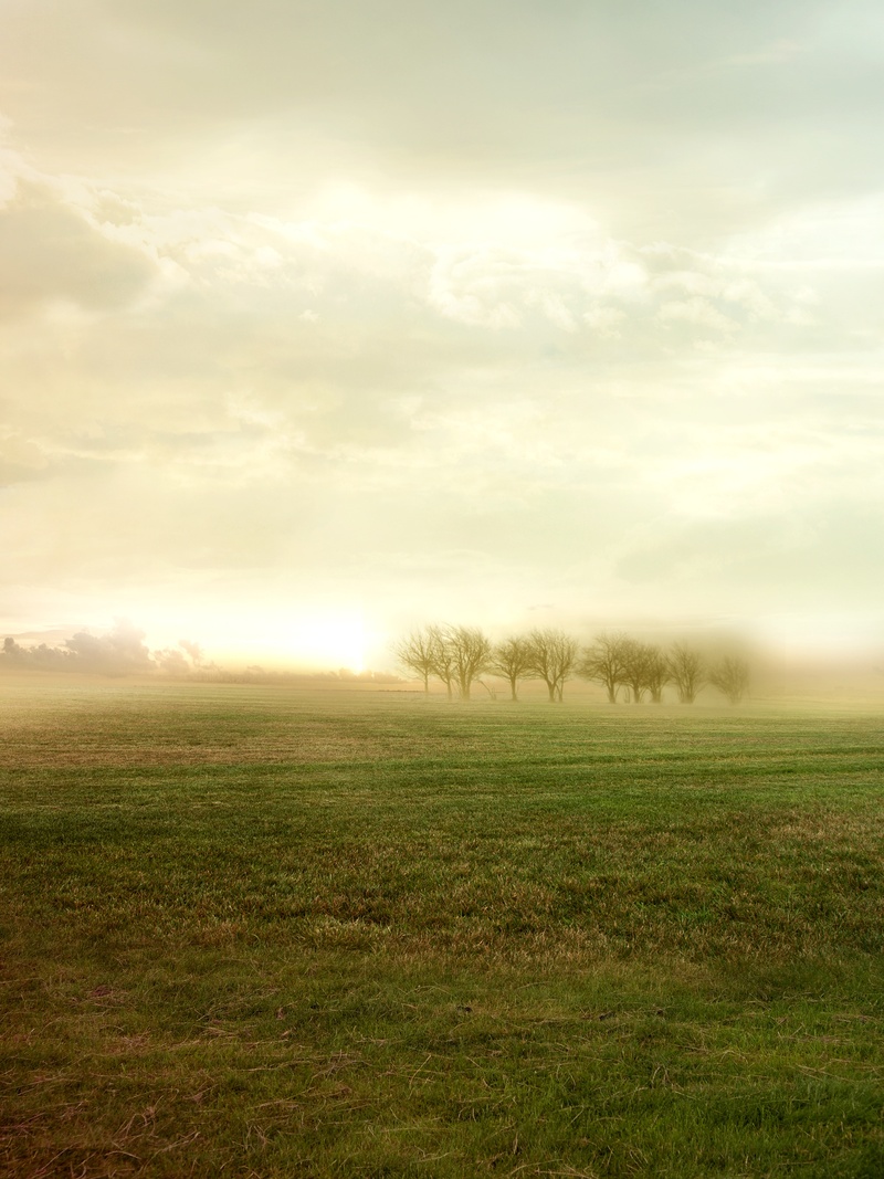 idyllic, nature, sky, horizon, anyone, setting sun, tranquility, bello, summer, sun, grass, lonely field, field, photo, trees, outdoors, tree, landscape