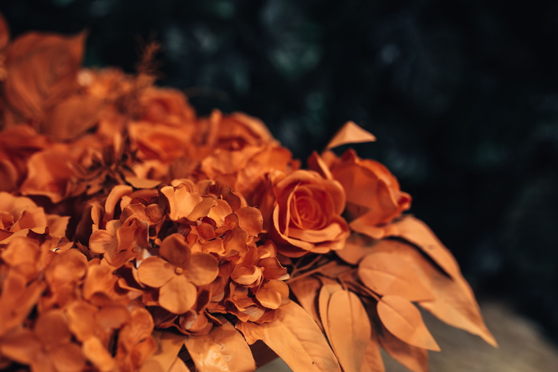 close-up, 5K, bouquet, outdoors, vulnerability, flower head, rose - flower, fake, wilted plant, nature, no people, flowering plant, painted, petal, inflorescence