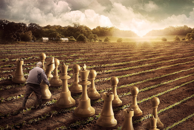 leisure activity, plant, 4K, nature, environment, sky, land, agriculture, outdoors, field, real people, sunlight, tranquility, rural scene, 4K, Farming