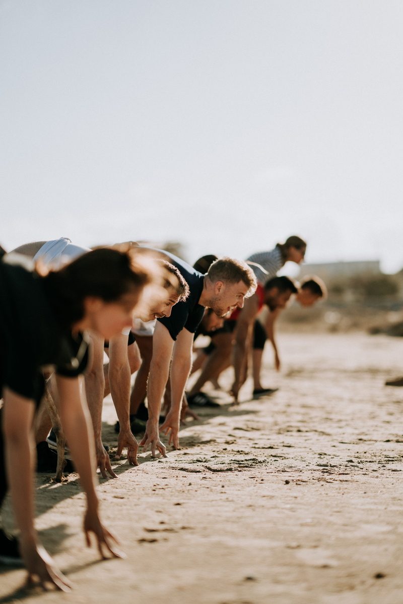 land, group of people, sunlight, surface level, self belief, domestic, canine, race, fitness, domestic animals, group, strating, racing, crossfit, sky