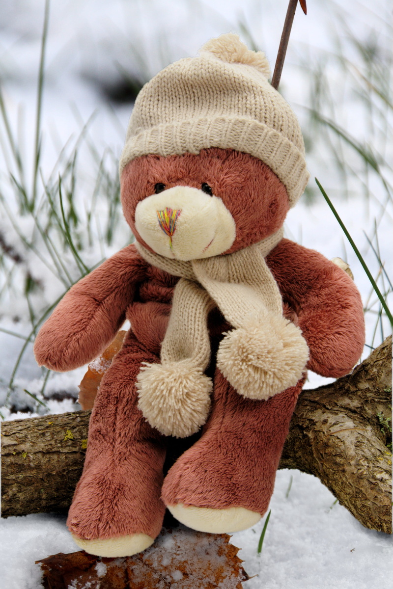 snow, holiday, stuffed toy, celebration, stuffed animal, softness, scarf, cold, winter, christmas, cold temperature, close-up, outdoors, art and craft