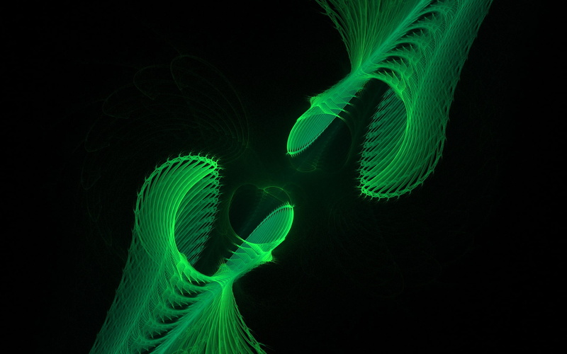 close-up, science, technology, medical exam, anatomy, animal themes, futuristic, illuminated, fractal, digital art, animal, 1080P, indoors, motion, abstract