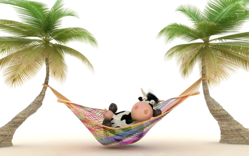 background, hammock, relaxing, funny, 1080P, cow