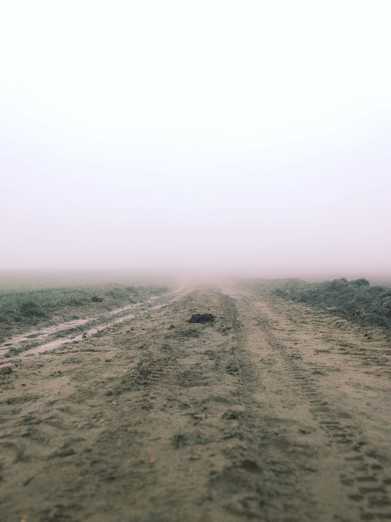 environment, mud, the way forward, non-urban scene, foggy, sand, scenics - nature, fog, ground, road, surface level, 1080P, arid climate, nature, dirt road