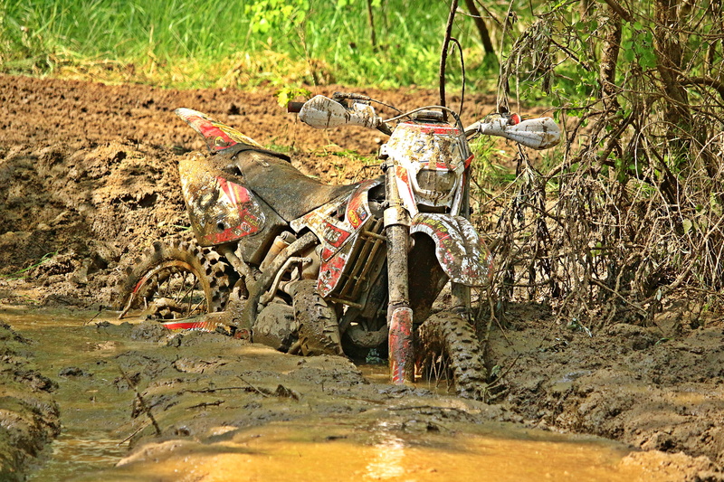 nature, water, muddy, dirtbike, day, tree, quagmire, pollution, swamp, plant, environment, environmental issues, dirty, cross, mode of transportation, 5K