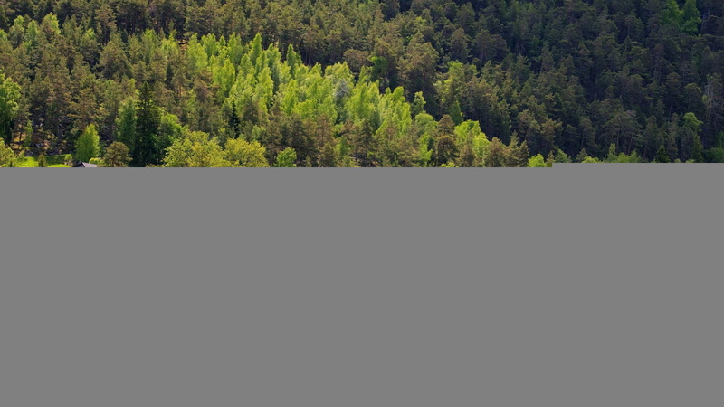 scenario, house, forest, 2560x1440, perfect, trees, nature, green, tree, 2K, lake