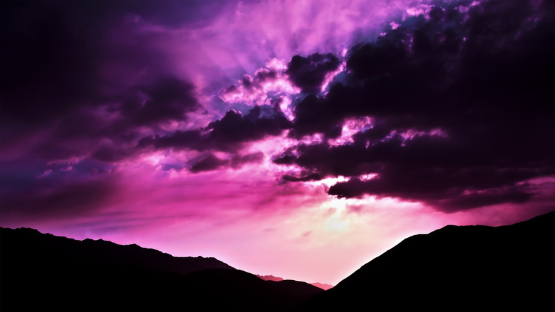 nature, morning, 1080P, scenario, purple