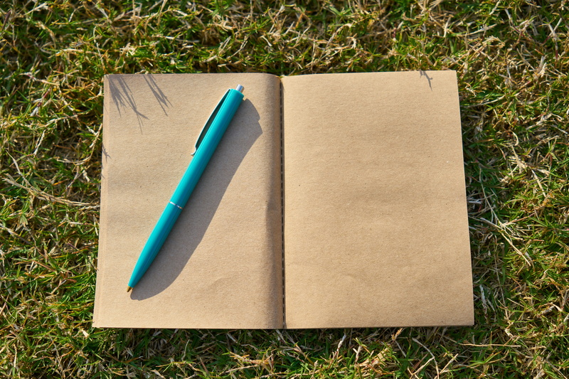technology, grass, author, the work, land, is empty, contract, diary, scenario, book, opinions, high angle view, no people, still life, blank, close-up