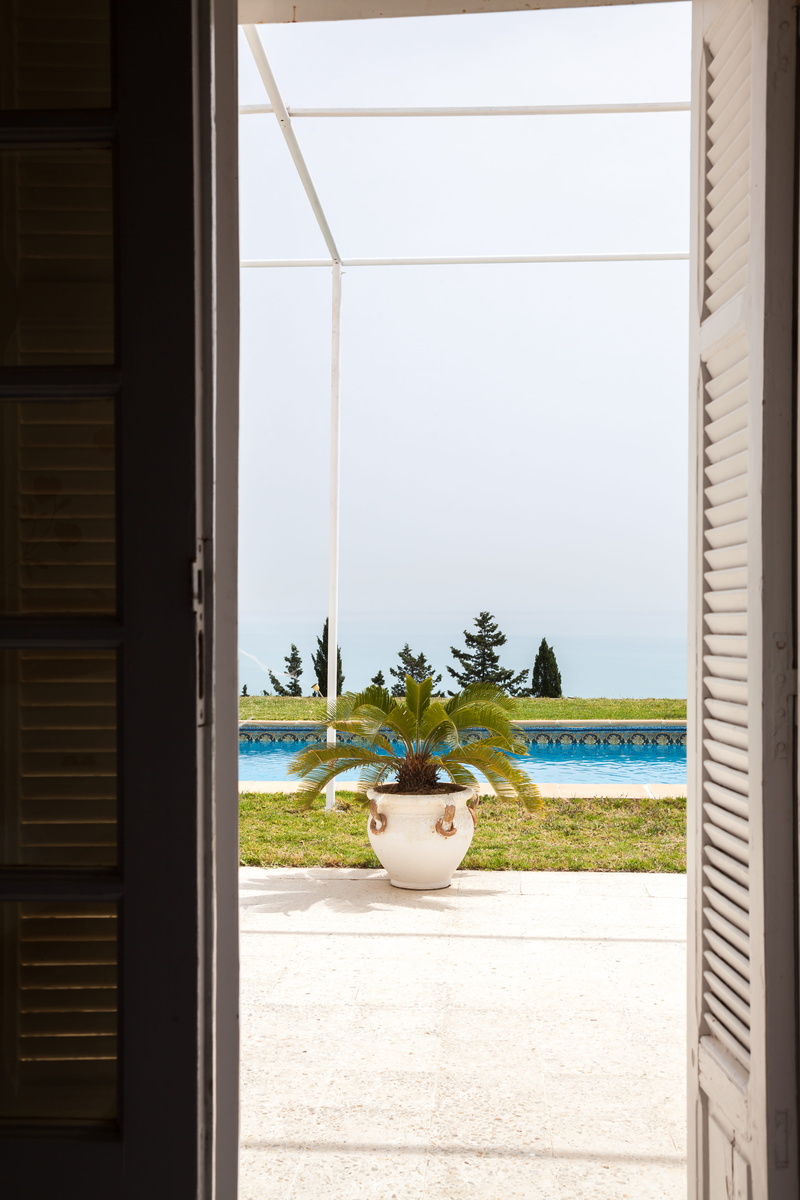 clear sky, animal, no people, door, 5K, window, spring, window sill, swimming pool, potted plant, day, africa, architecture, nature, growth, sun, water