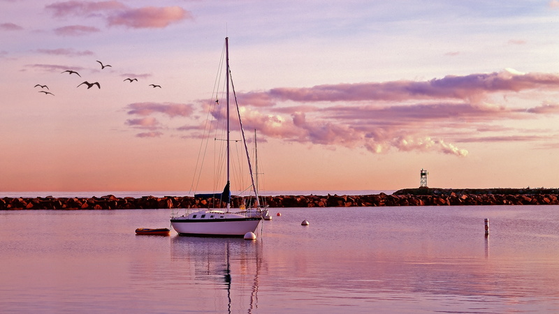 mode of transportation, sky, sailboat, port, nautical Vessel, bay, beauty in nature, vessel, sunrise, body, white, nautical, pole, large group of animals