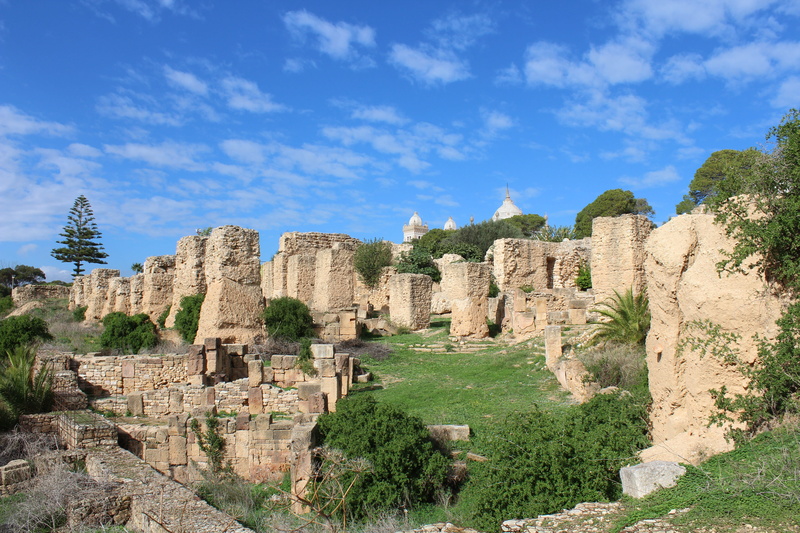 nature, travel, old ruin, architecture, 5K, scenics - nature, ruined, sky, ancient, tourism, ancient civilization, carthage, the past, archaeology, tree