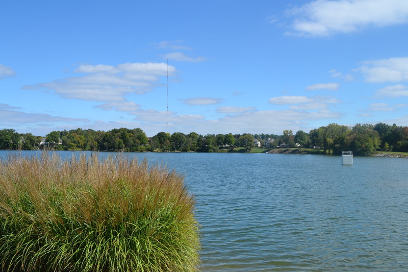 scenics, nature, idyllic, beauty in nature, sky, 4K, woods, Harbor, scenics - nature, River, green Color, tree, outdoors, cloud - sky, Water, plant, forest